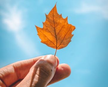 入秋了，你家的空氣還好嗎？